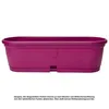 3x Blumenkasten länglich 50 cm lila Produktbild-Vorschau 2
