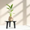A black plant stand with a beige pot and a green plant on it, set against a light-colored wall with shadows. Voir les images du produit