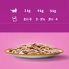 Whiskas Adult 85g Nassfutter Für Erwachsene Katzen Produktbild-Vorschau 4