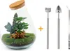 Diy Terrarium - Drop Xl Rood - ↕ 37 Cm Podgląd zdjęcia produktu 1