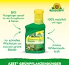 Neudorff  - Azet GrünpflanzenDünger 250 ml für 50L Produktbild-Vorschau 2