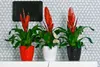Blumentopf, Kunststoffüberzug CRISTAL 14 cm, hellgrau, Produktbild-Vorschau 3