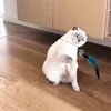A cat playing with a feather toy on a wooden floor. Voir les images du produit