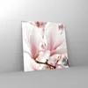 Bilder auf glas - Einteilig - Zweig Magnolie Blume - Produktbild-Vorschau 4