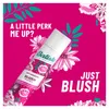 Batiste Dry Shampoo Floral&Flirty Blush trockenes Shampoo Produktbild-Vorschau 19