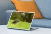 MuchoWow® Laptop Aufkleber Sticker Cover Igel im Gras Produktbild-Vorschau 4