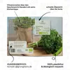 Semi di prezzemolo biologico riccio - semi di erbe da Anteprima dell’immagine prodotto 5