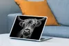 MuchoWow® Laptop Aufkleber Sticker Cover Schottischer Produktbild-Vorschau 4