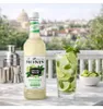 Monin Le Mixeur Mojito PET 1L Sirupe Frankreich  100.00 cl  Produktbild-Vorschau 1