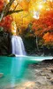 Fototapete - Deep Forest Waterfall 150x250cm - Vliestapete Produktbild-Vorschau 1