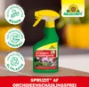 Neudorff Spruzit AF OrchideenSchädlingsFrei 250 ml - Produktbild-Vorschau 5