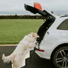 Hundetreppe klappbar Auto Hunde Treppen Haustiertreppe Produktbild-Vorschau 2