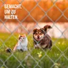 A cat and a dog are sitting in the grass behind a chain-link fence. Anteprima dell’immagine prodotto