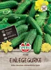 Einlegegurke Conny F1-Hybride (verb. Bimbostar) | Produktbild-Vorschau 1
