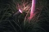 Philips Hue WCA Lily Spot d'extérieur Base 24V | Philips Voir les images du produit 20