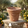 Teramico Terracotta Topf "Festone" frostfest optional mit Produktbild-Vorschau 2