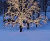 Star Trading LED-System Icicle-Extra 465-36-1 Produktbild-Vorschau 8