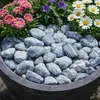 Silver-Kieselsteine als Abdeckung im Pflanzkübel mit Blühpflanzen Produktbild-Vorschau
