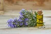 SAFLAX - Geschenk Set - BIO - Rosmarin - 40 Samen - Mit Produktbild-Vorschau 7