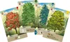 Forêt mixte Voir les images du produit 6