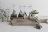 Pusteblumen Vase, Wunschblümchen Produktbild-Vorschau 3