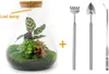 Urbanjngl Sam Calathea giardino in bottiglia con lampada - Anteprima dell’immagine prodotto 5