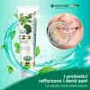 Dentifricio Dentiste Plus White Premium - Dentifricio per Anteprima dell’immagine prodotto 3