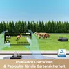 A smartphone displays a live video feed of a dog and a robotic lawnmower in a backyard, with a second dog playing with a ball in the background. Produktbild-Vorschau