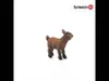 Schleich Farm World Geitje 13829 Produktbild-Vorschau 3