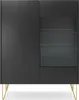 A black vitrine with glass shelves and gold legs on a white background. Podgląd zdjęcia produktu