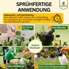 Neemöl Spray zur natürlichen Pflanzenpflege, 750 ml – Produktbild-Vorschau 4