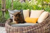 MuchoWow® Outdoor Kissen - Schottisches Hochlandrind - Produktbild-Vorschau 3