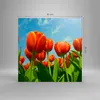 Bild auf Leinwand - Leinwandbild - Tulpe Blume blauer Produktbild-Vorschau 3