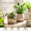 Pflanztopfuntersetzer Mira Taupe Ø 44cm - Frostsicher & Produktbild-Vorschau 4