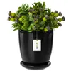 Blumentopf Blumenübertopf Schwarz Blumenschale mit Produktbild-Vorschau 1