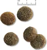 BELCANDO Senior Sensitive, 4 kg Produktbild-Vorschau 2