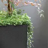 Prosperplast Blumentopf RATO SQUARE - anthrazit Produktbild-Vorschau 42