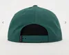 Nike Jordan Pro Cap FV5296-366 Grün – Snapback Kappe M/L | Produktbild-Vorschau 2