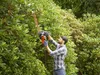 BLACK+DECKER Heckenschere BEHTS451, (550 Watt) Produktbild-Vorschau 10