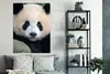 MuchoWow® Poster Panda - Wildtiere - Porträt - Stein 90x120 Produktbild-Vorschau 4