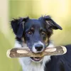 DOGBOSS 100% Natur Kaustab Olivenholz, Größe M (ca. Produktbild-Vorschau 3