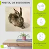 ARTland Poster Junger Feldhase. 1502 Größe: 30x30 cm Produktbild-Vorschau 2