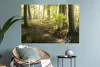 MuchoWow® Wandtattoo Wandsticker Wandaufkleber Wald - Bäume Produktbild-Vorschau 6
