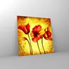 Bilder auf glas - Blumen Schilder Stiel Linien - 50x50cm - Produktbild-Vorschau 4
