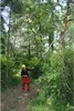 A person is using a long pole saw in a forest. Náhled obrázku produktu