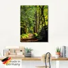 ARTland Glasbild Weg im Wald Größe: 45x60 cm Produktbild-Vorschau 5