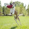 KONG Hundespielzeug KONG Flyer 24 cm rot Produktbild-Vorschau 14