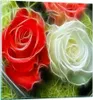 Bilder auf glas - Blumen Blumenstrauß Rose - 60x60cm - Produktbild-Vorschau 1