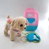 BABY born Môj šťastný pes s prepravným boxom Náhľad obrázku produktu 16
