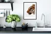 MuchoWow® MuchoWow® Gerahmtes Poster Nahaufnahme eines Produktbild-Vorschau 4